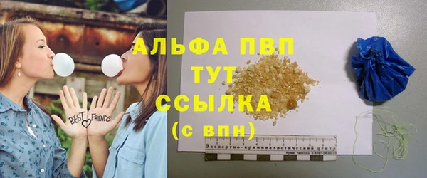 гидра Белоозёрский