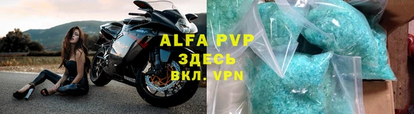 прущие грибы Сатка