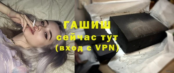 хмурый Белокуриха