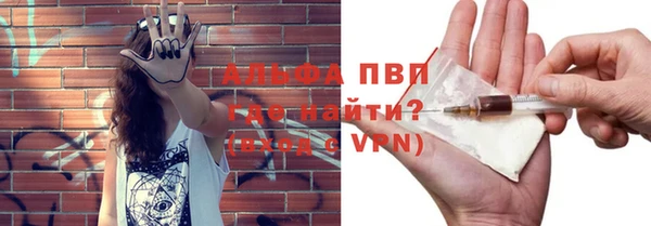 прущие грибы Саяногорск