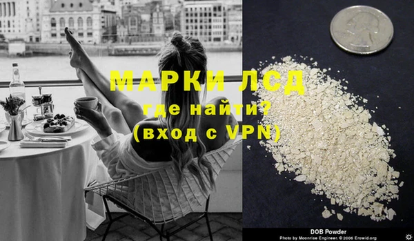 хмурый Белокуриха