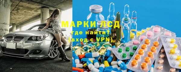 хмурый Белокуриха