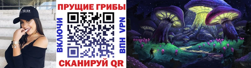 блэк спрут tor  Покровск  Галлюциногенные грибы Magic Shrooms  цены  